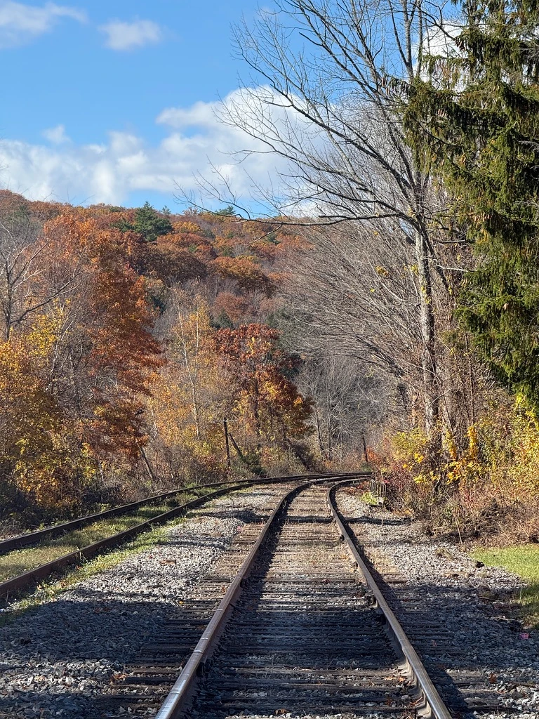 Reference photograph